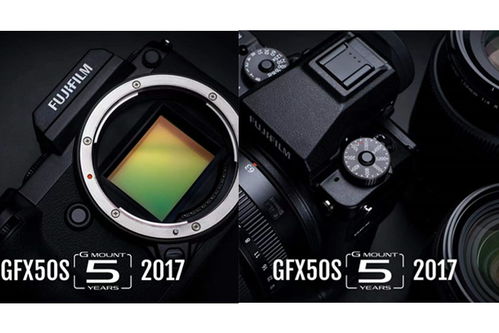 攝影設(shè)備全攻略 從單反到專業(yè)攝影器材的選擇與使用