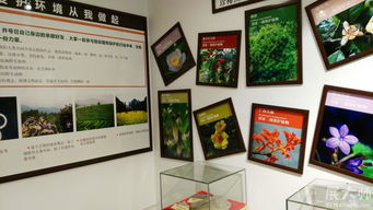 三牛文化攜手桂林植物園科普展廳，展大師特裝工廠鑄就專業(yè)展覽新典范